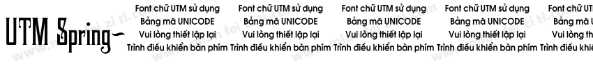 UTM Spring字体转换